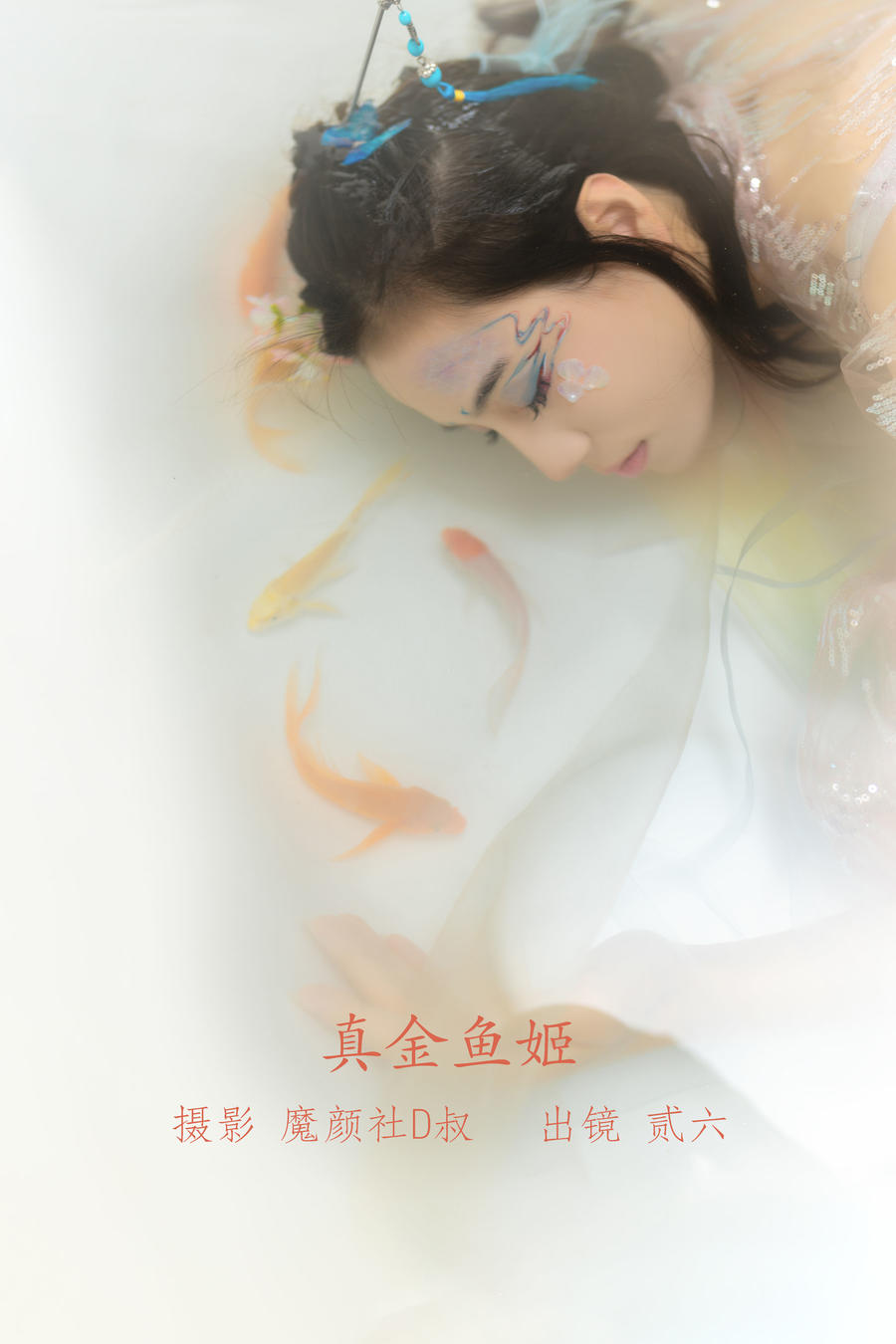 兔子Zzz不吃胡萝卜-真金鱼姬29763